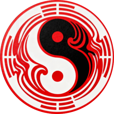 taichi13 - Image 2