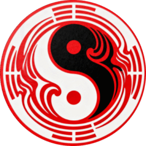 taichi17